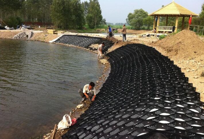 �䳲�������ґ�(y��ng)����·������